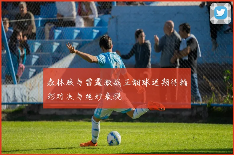 森林狼与雷霆激战正酣球迷期待精彩对决与绝妙表现