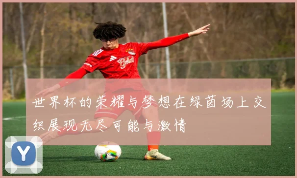 世界杯的荣耀与梦想在绿茵场上交织展现无尽可能与激情