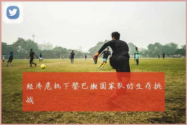 经济危机下黎巴嫩国家队的生存挑战